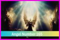 
ANGEL NUMBER 165
