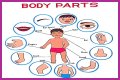 Body part with a pupil