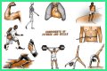 Single part of a gym exercise